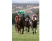  Carrera: P.Corpa  Caballo: The Game Monta: R.Sousa